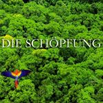 Weil: Haydn - Die Schöpfung (2 CD, FLAC)