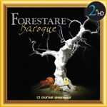 Forestare Baroque: 12 Guitar Ensemble (24/192 FLAC)