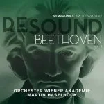 Resound Beethoven vol.8 (24/96 FLAC)