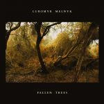 Lubomyr Melnyk - Fallen Trees (24/44 FLAC)