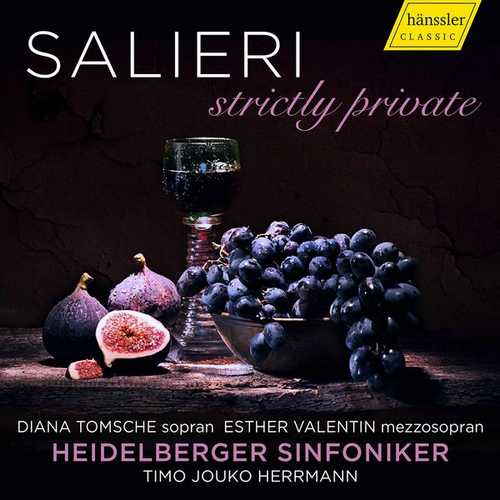 Tomsche, Valentin: Salieri - Strictly Private (24/48 FLAC)
