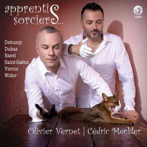 Olivier Vernet, Cédric Meckler - Apprentis sorciers (24/88 FLAC)