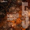 Vänskä: Mahler - Symphony no.5 (24/96 FLAC)