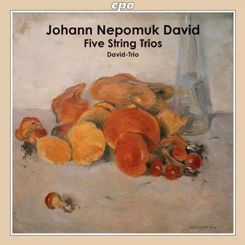 David-Trio: Johann Nepomuk David: Five String Trios (FLAC)