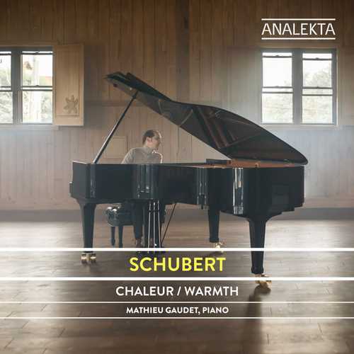 Gaudet: Schubert - The Complete Sonatas and Major Piano Works vol.5 (24/96 FLAC)