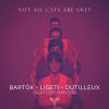 Quatuor Hanson - Not all Cats are Grey (24/96 FLAC)