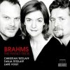 Tetzlaff, Vogt: Brahms - The Piano Trios (24/96 FLAC)