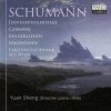 Yuan Sheng: Schumann - Piano Music (FLAC)