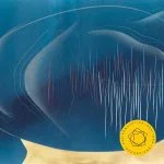 Berliner Philharmoniker: Bartók - Violin Concerto no.1 (24/192 FLAC)