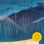 Berliner Philharmoniker: Bartók – Violin Concerto no.2 (24/192 FLAC)