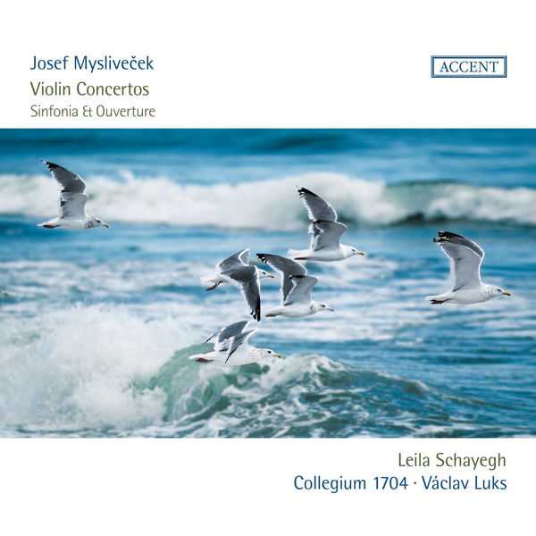 Leila Schayegh, Václav Luks: Josef Mysliveček - Violin Concertos, Sinfonia, Ouverture (FLAC)