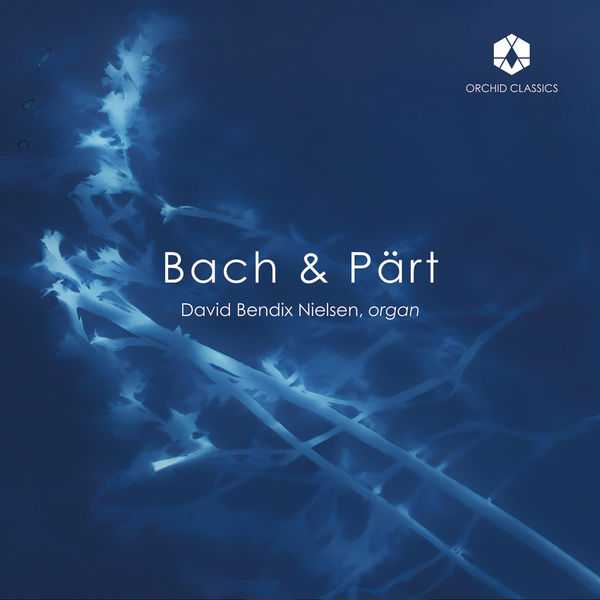 David Bendix Nielsen - Bach & Pärt (24/192 FLAC)