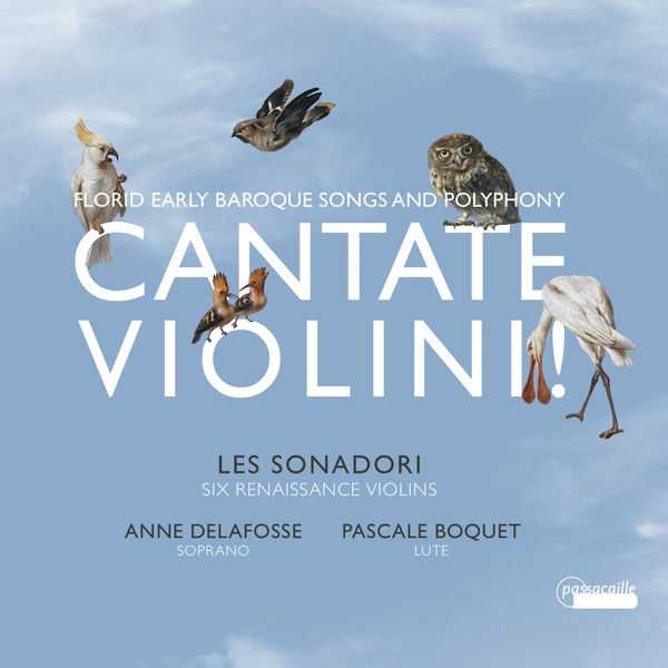 Les Sonadori: Cantate Violini - Florid Early Baroque Songs and Polyphony (24/88 FLAC)