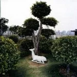 Margret Köll, Luca Pianca: Giants - Music for Lute and Harp (FLAC)