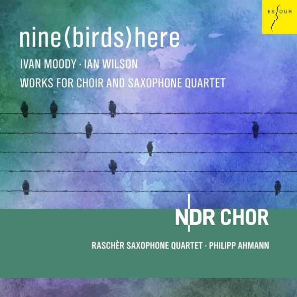 NDR Chor - Nine(Birds)Here (24/48 FLAC)