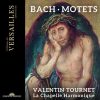 Valentin Tournet, La Chapelle Harmonique: Bach - Motets (24/96 FLAC)