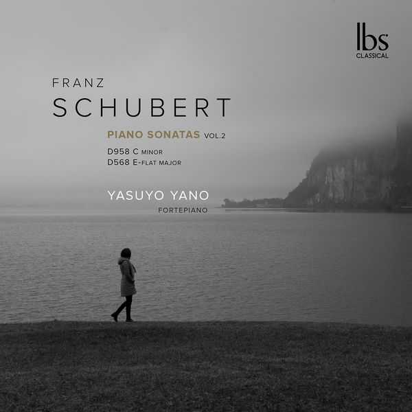 Yasuyo Yano: Schubert - Piano Sonatas vol.2 (24/48 FLAC)