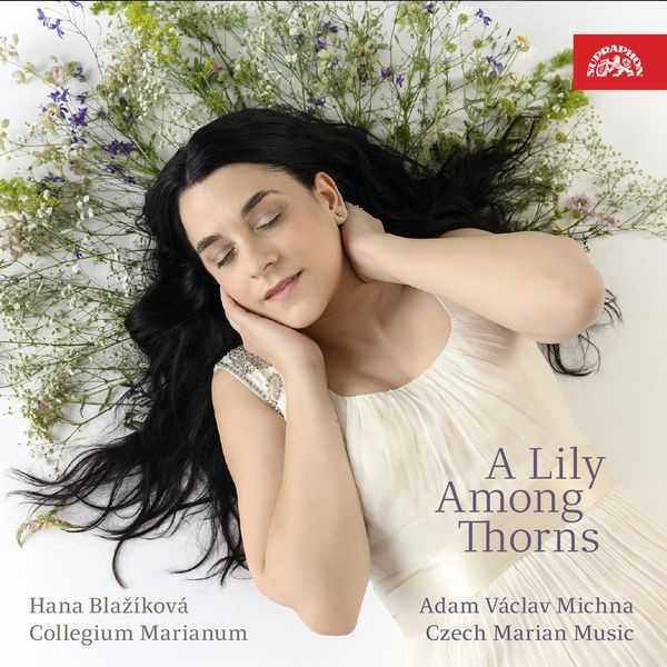 A Lily Among Thorns (24/96 FLAC)