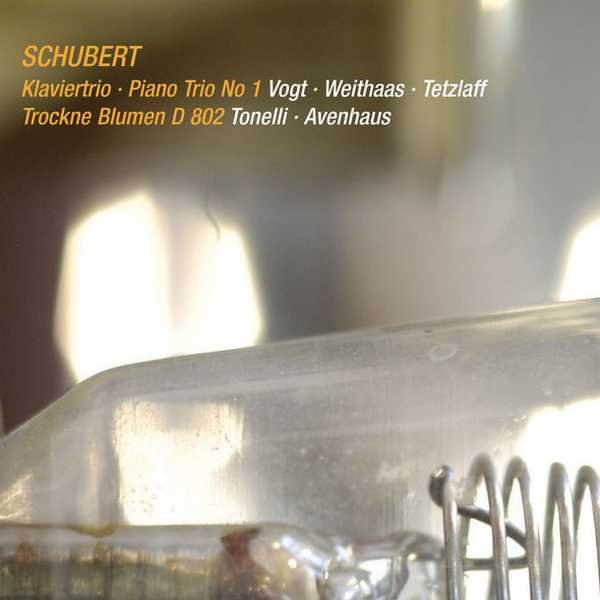 Vogt, Weithaas, Tetzlaff, Tonelli, Avenhaus: Schubert - Piano Trio no.1, Trockne Blumen D802 (FLAC)