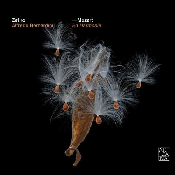 Zefiro: Mozart - En Harmonie (FLAC)