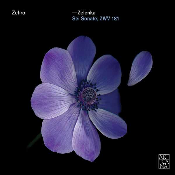 Zefiro: Zelenka - Sei Sonate ZWV 181 (FLAC)