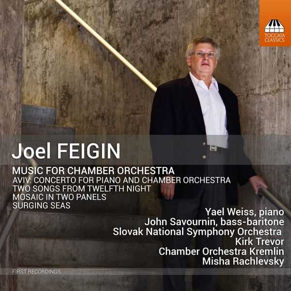 Joel Feigin - Music For Chamber Orchestra (24/44 FLAC)