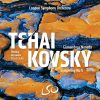 Noseda: Tchaikovsky - Symphony no.5; Rimsky-Korsakov - Kitezh Suite (24/192 FLAC)