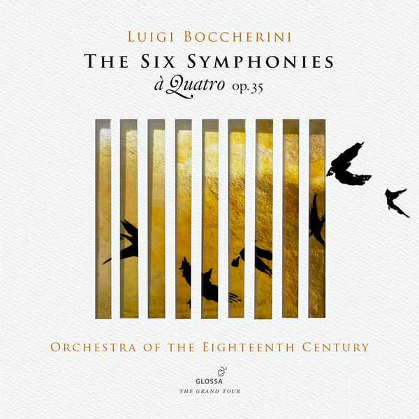Orchestra Of The 18th Century: Boccherini - The Six Symphonies à Quatro op.35 (FLAC)