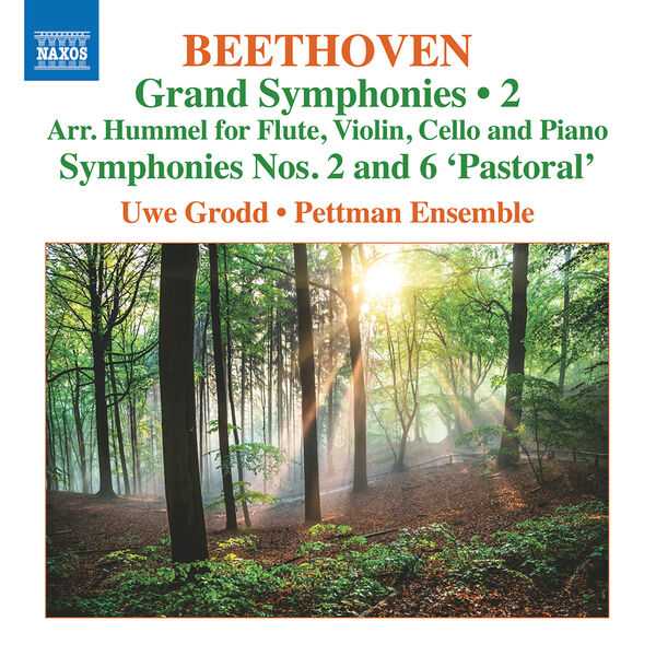 Uwe Grodd, Pettman Ensemble: Beethoven - Grand Symphonies vol.2 (24/96 FLAC)