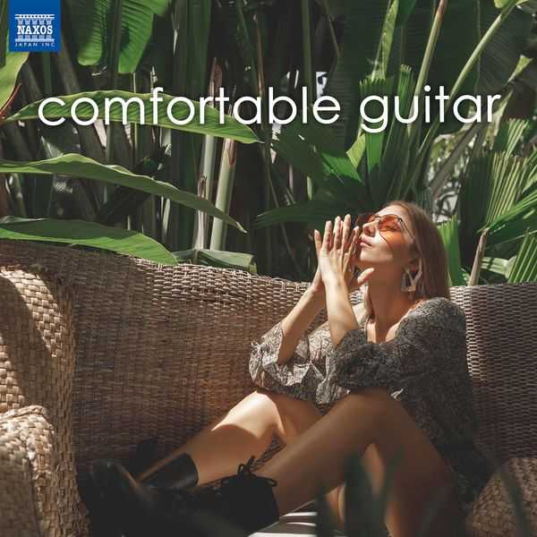 Comfortable Guitar (FLAC)