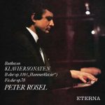 Rösel: Beethoven - Piano Sonatas op.106 & 78 (24/88 FLAC)