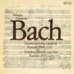 Rotzsch: Bach - Durchlauchtster Leopold BWV 173a, Erhöhtes Fleisch und Blut BWV 173 (FLAC)