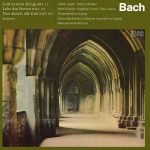 Rotzsch: Bach - Gott Ist Mein König BWV 71, Lobe Den Herren BWV 137, Nun Danket Alle Gott BWV 192 (FLAC)