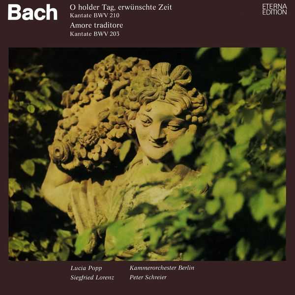 Schreier: Bach - O Holder Tag, Erwünschte Zeit BWV 210, Amore Traditore BWV 203 (FLAC)