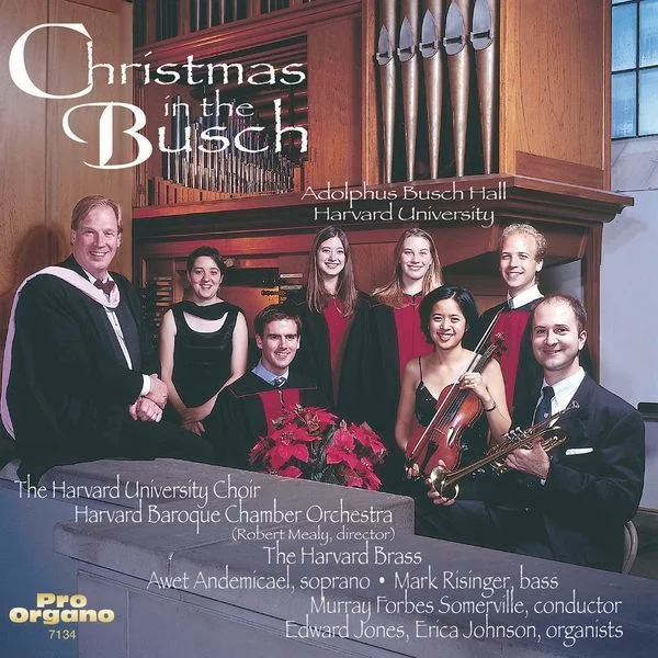 Christmas in the Busch (FLAC)