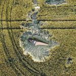 Jörg Halubek: Bach - Partita & Concertos (24/96 FLAC)