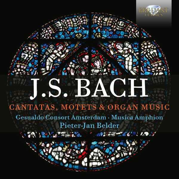 Belder: Bach - Cantatas, Motets & Organ Music (FLAC)