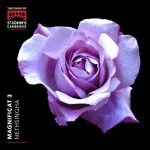 Andrew Nethsingha - Magnificat 3 (24/192 FLAC)