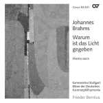 Bernius: Brahms - Warum ist das Licht Gegeben. Musica Sacra (FLAC)