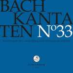Bach-Stiftung: Bach - Kantaten vol.33 (24/44 FLAC)