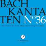 Bach-Stiftung: Bach - Kantaten vol.36 (24/44 FLAC)