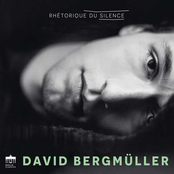 David Bergmuller - Rhetorique Du Silence (24/96 FLAC)
