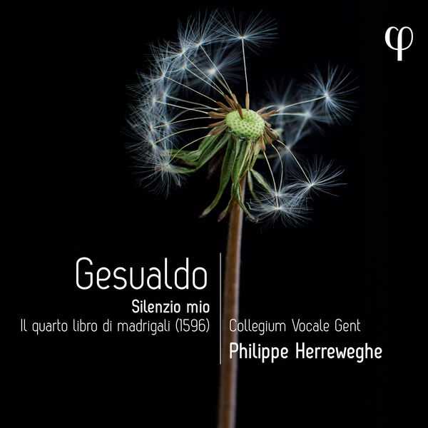 Herreweghe: Gesualdo - Silenzio Mio. Il Quarto Libro di Madrigali (24/96 FLAC)