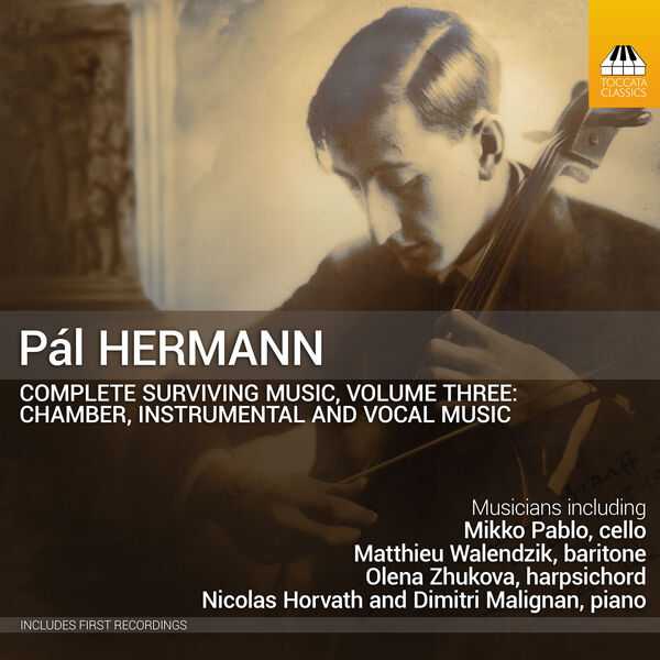 Pál Hermann - Complete Surviving Music vol.3 (24/44 FLAC)