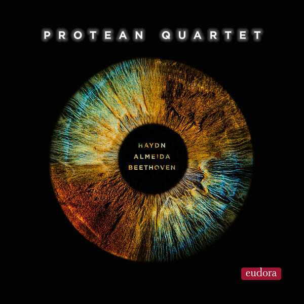 Protean Quartet: Haydn, Almeida, Beethoven (24/192 FLAC)