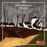 Andrzej Panufnik - Symphonic Works vol.3 (FLAC)