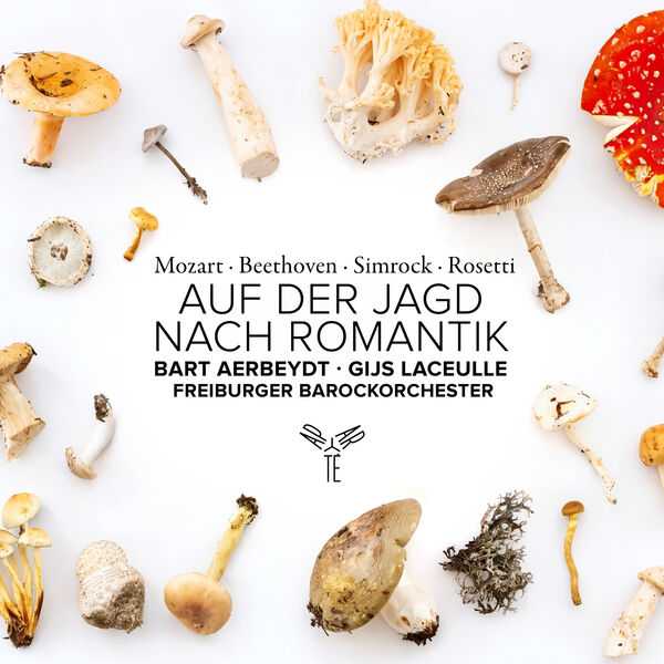 Auf der Jagd nach Romantik (24/96 FLAC)