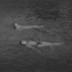 Ava Rasti - The River (24/96 FLAC)