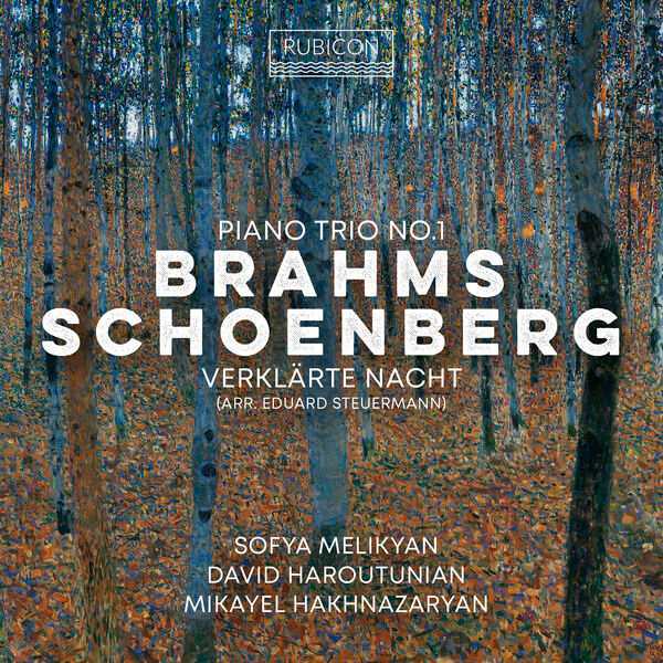 Melikyan, Haroutunian, Hakhnazaryan: Brahms - Piano Trio no.1; Schoenberg - Verklärte Nacht (24/96 FLAC)