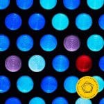 Berliner Philharmoniker: Walton - Martinů (24/48 FLAC)